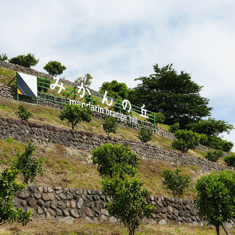 広野町