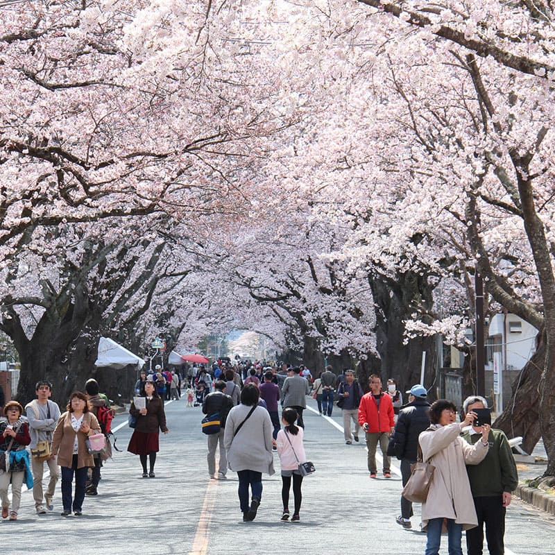 富岡町