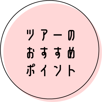 ツアーのおすすめポイント